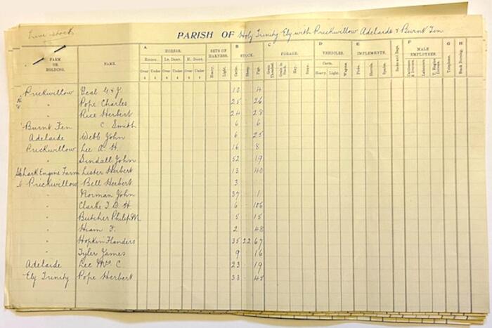 Agricultural Census for Isle of Ely.